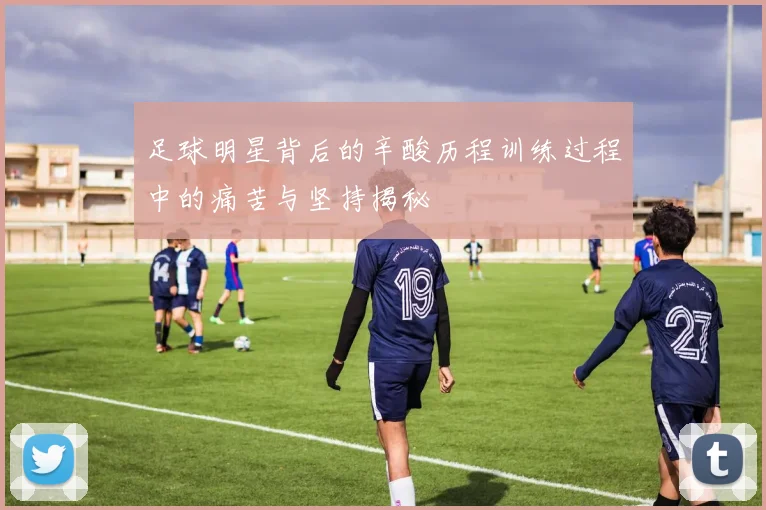 足球明星背后的辛酸历程训练过程中的痛苦与坚持揭秘