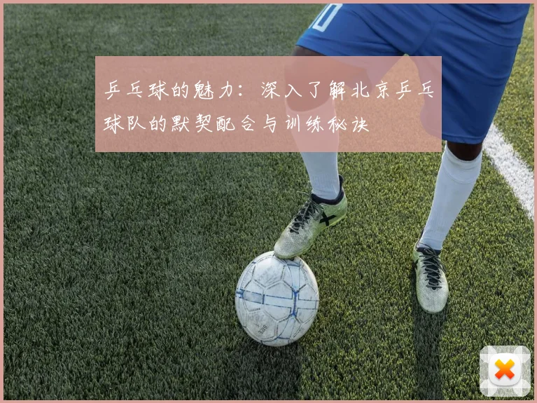 乒乓球的魅力：深入了解北京乒乓球队的默契配合与训练秘诀