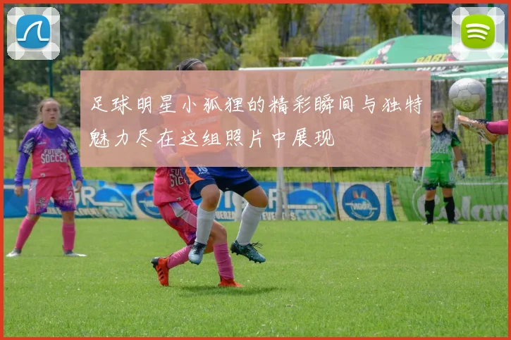 足球明星小狐狸的精彩瞬间与独特魅力尽在这组照片中展现